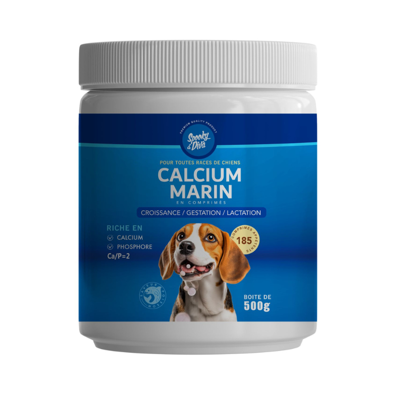 CALCIUM MARIN SPOOKY & DIVA EN POUDRE 500 GR