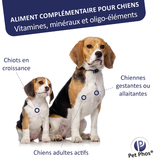 PETPHOS CROISSANCE CHIEN Ca/P=2 100CPS