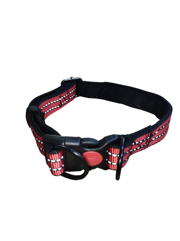 laisse + Collier Pour Chiens En Rouge