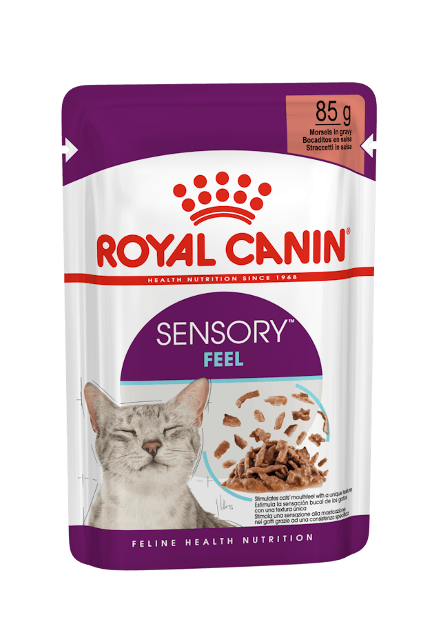 ROYAL CANIN SAUCE POUR CHAT SENSORY FEEL 85G