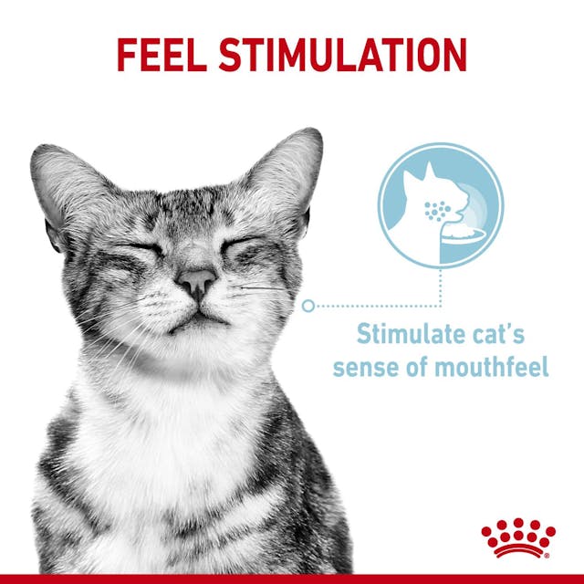 ROYAL CANIN SAUCE POUR CHAT SENSORY FEEL 85G