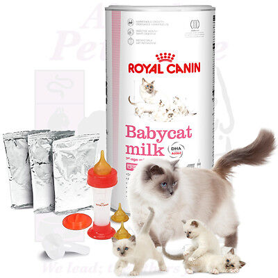 Canail.Lait Chat/Chaton3X200Ml - DRH MARKET Sarl