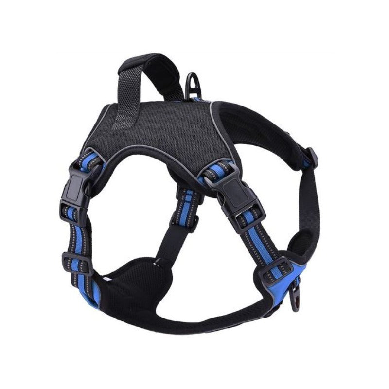 HARNAIS POUR CHIEN EN BLEU TAILLE S