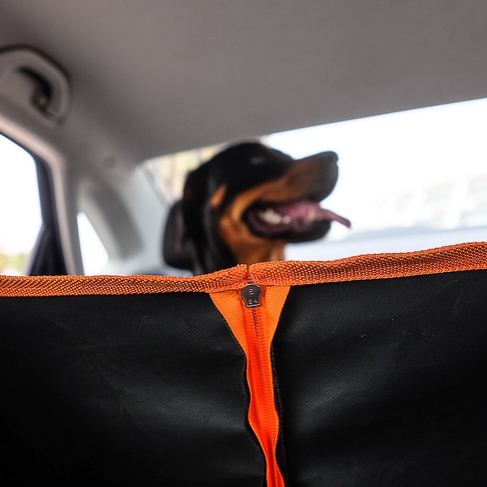 HOUSSE DE VOITURE POUR CHIEN  VAGABONDOG™ – Chien-Gaga